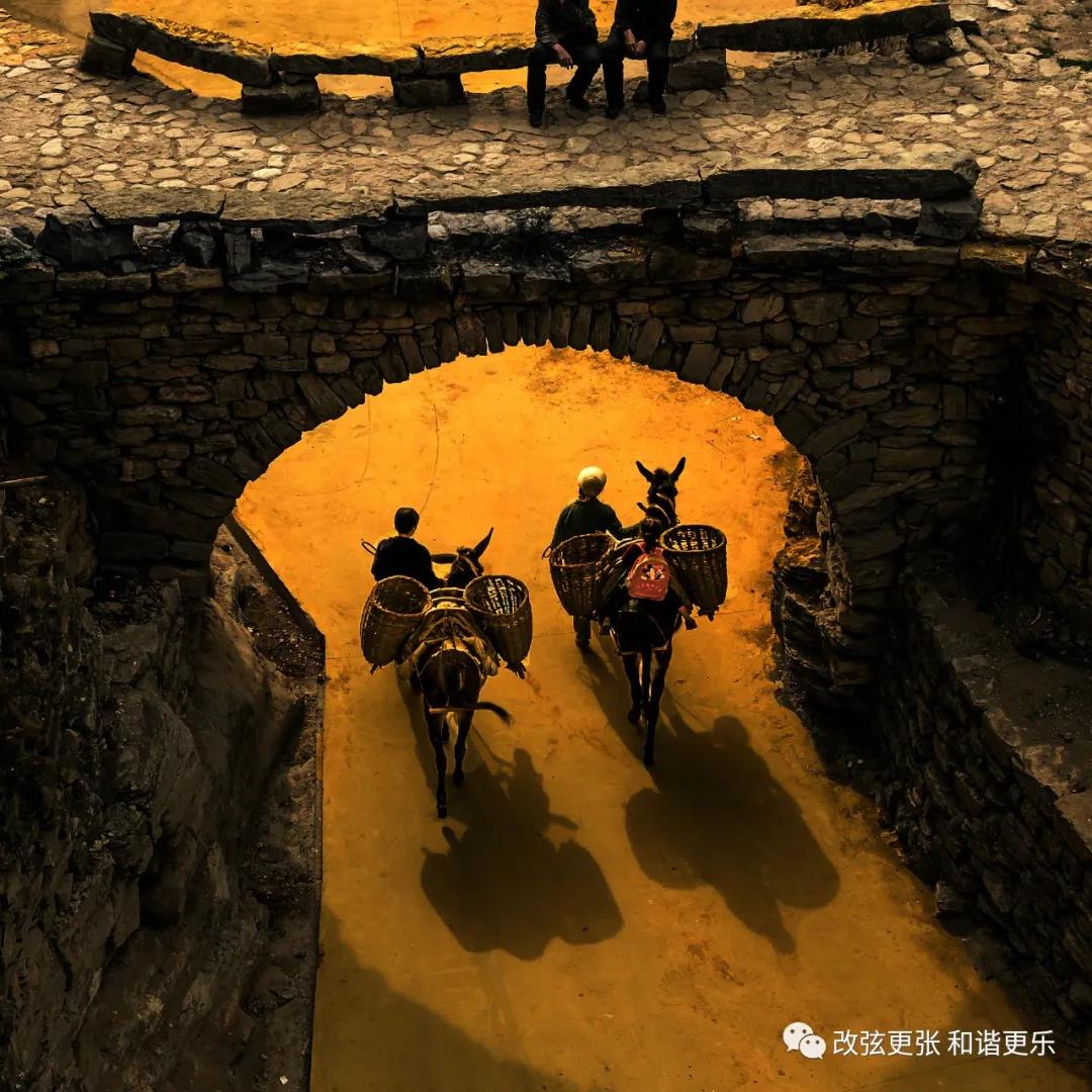 微信图片_20211008154348 微信图片_20211008154348.jpg