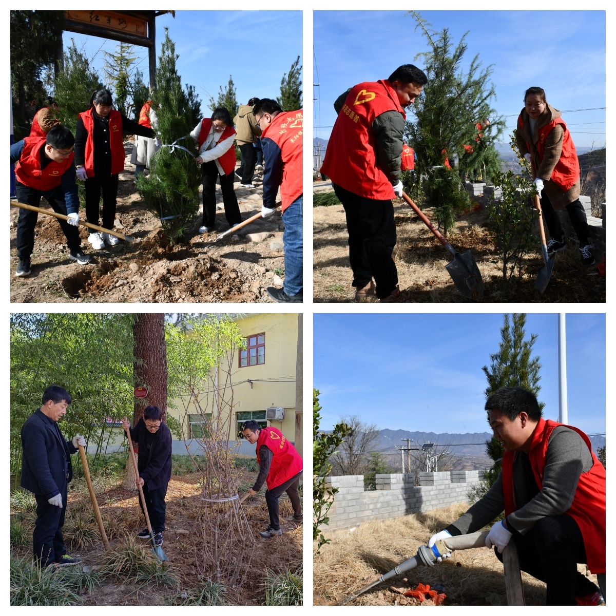 8b2418f147ba7afd94c7c2de846f66ee 8b2418f147ba7afd94c7c2de846f66ee.jpg