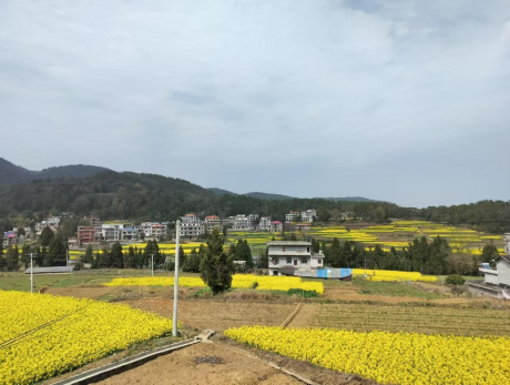 图片 32 图片 32.png