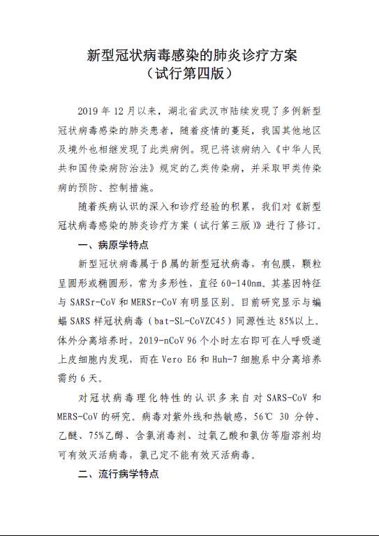 image image.png?v=1775291089123