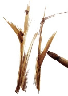 pagenumber_ebook=35,pagenumber_book=35