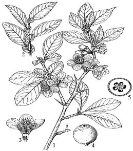 pagenumber_ebook=149,pagenumber_book=149