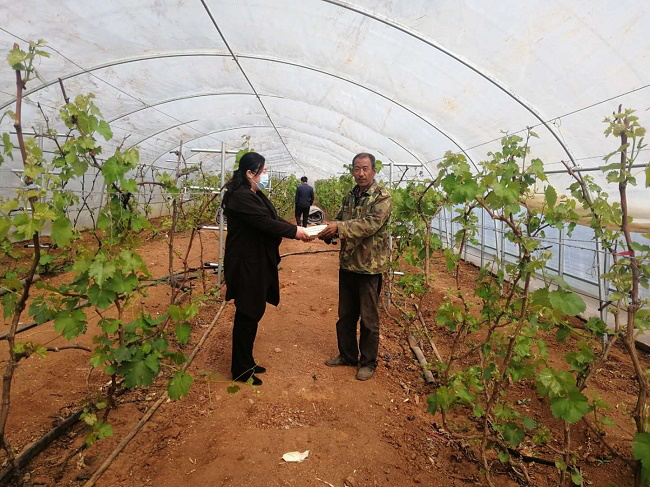 图片3 图片3.png?v=1765857365347