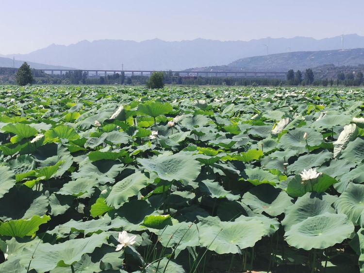 6c01fa40-f6c2-11ec-bc60-7786b0d5ee22