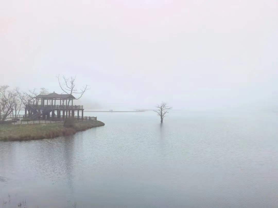 19fc1ba8a8444e1ef95a9963ba56645 19fc1ba8a8444e1ef95a9963ba56645.jpg?v=1762743078123