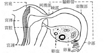 pagenumber_ebook=676,pagenumber_book=676