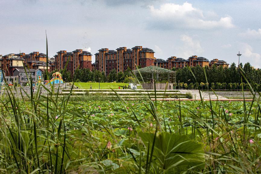 《生态宜居》姚旗