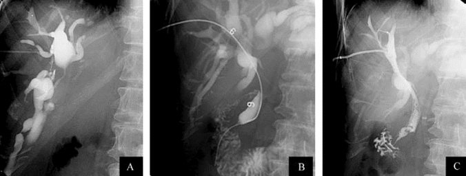 pagenumber_ebook=295,pagenumber_book=280