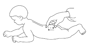 pagenumber_ebook=116,pagenumber_book=116