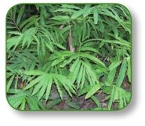 pagenumber_ebook=109,pagenumber_book=96