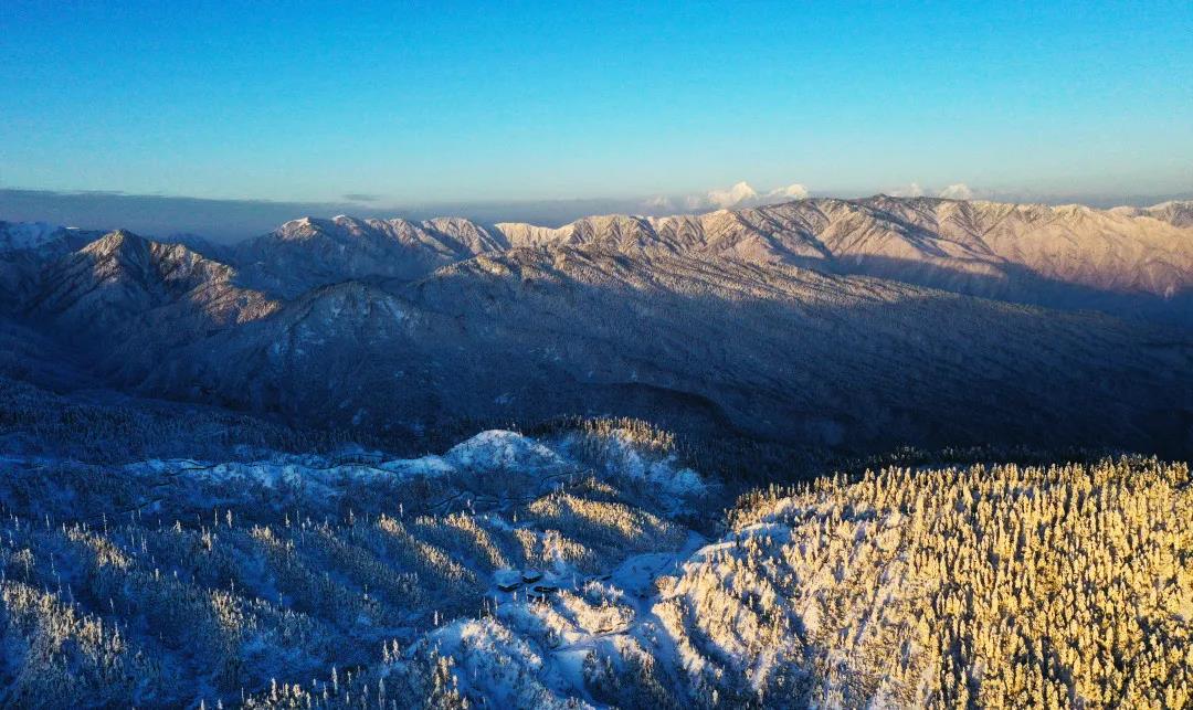 微信图片_20210118161051