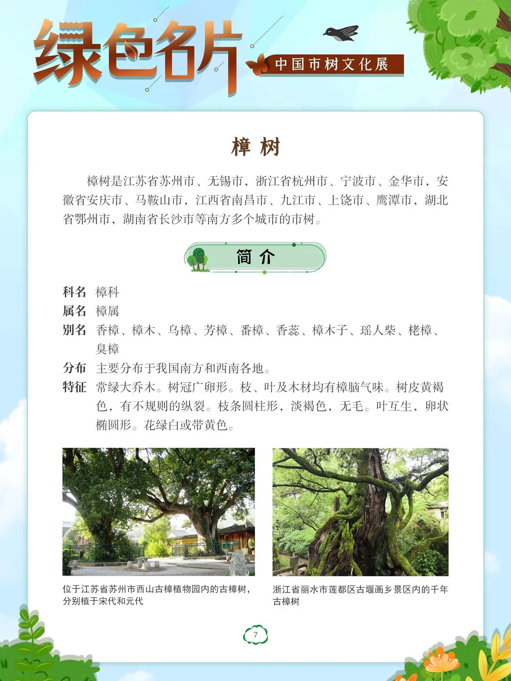 07.webp 07.webp.jpg?v=1762809709749