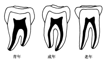 pagenumber_ebook=129,pagenumber_book=120
