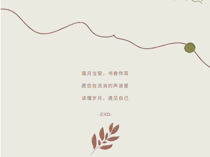 image.png?v=1766280835836