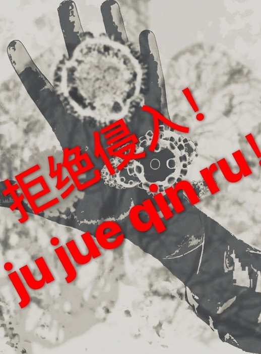image image.png?v=1784605967760