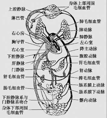 pagenumber_ebook=30,pagenumber_book=17