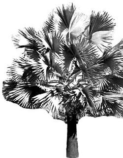 pagenumber_ebook=111,pagenumber_book=111