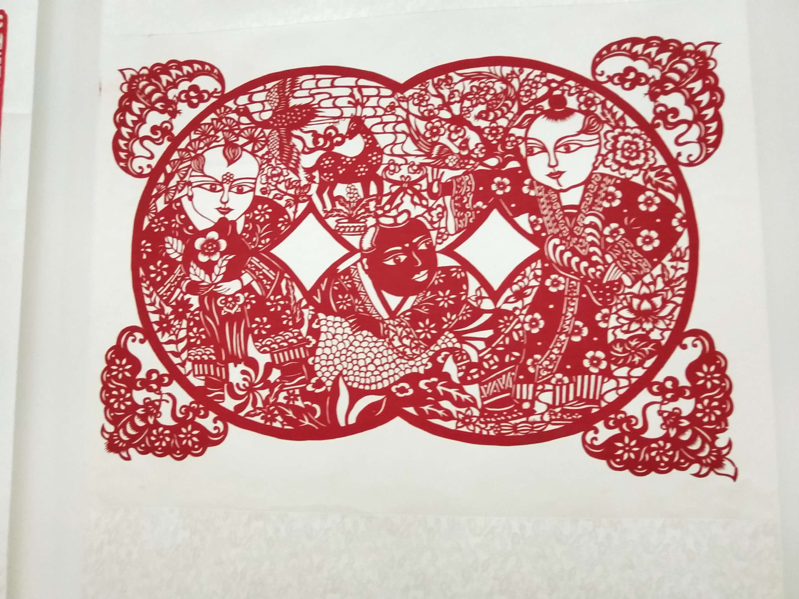 7 7.jpg?v=1764880028499