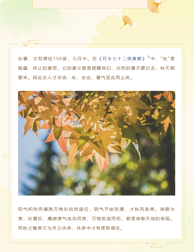 image.png?v=1757830624148