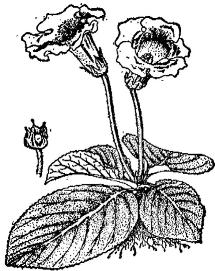 pagenumber_ebook=223,pagenumber_book=223