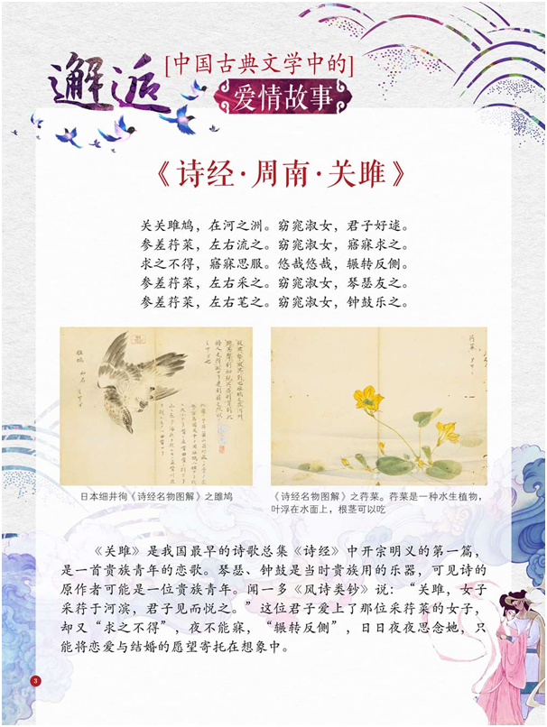 IMG_7330 IMG_7330.png?v=1764469173344