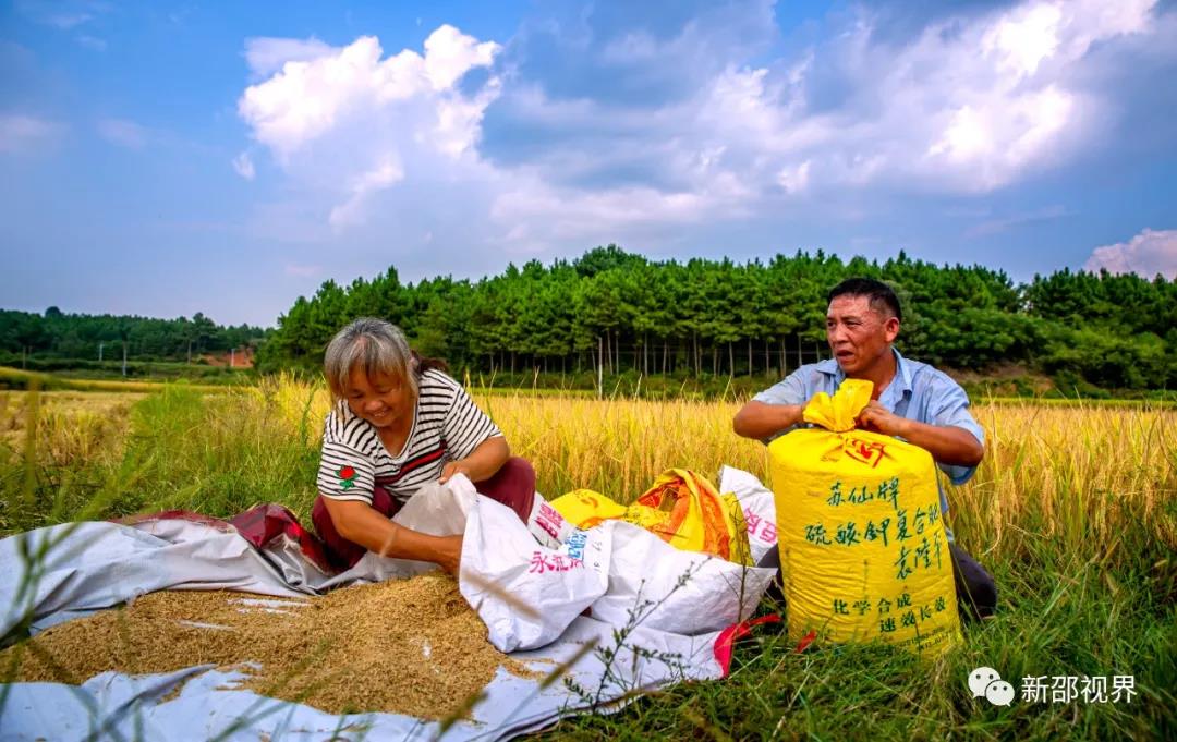 微信图片_20201207235154 微信图片_20201207235154.jpg