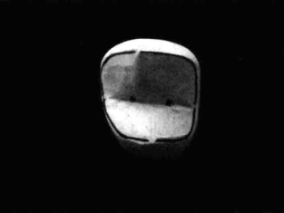 pagenumber_ebook=206,pagenumber_book=197