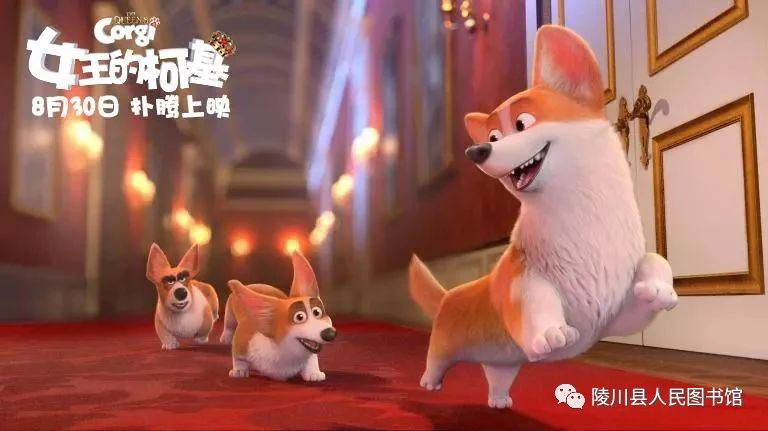 图片13 图片13.png?v=1762252615408