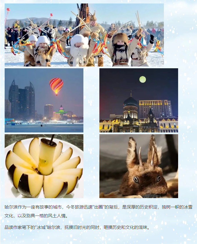 image.png?v=1750229949371