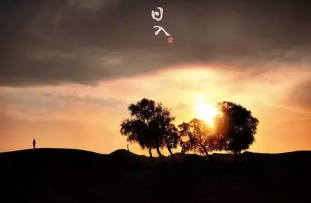 20171115210531_s981fvcvkw 20171115210531_s981fvcvkw.png?v=1773791879868