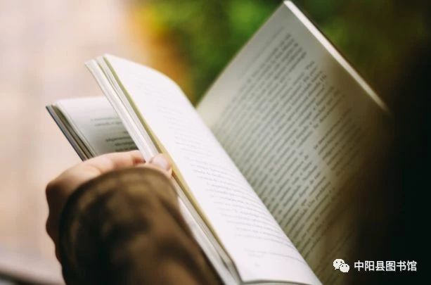 13 13.jpg?v=1770167965067