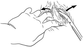 pagenumber_ebook=46,pagenumber_book=31