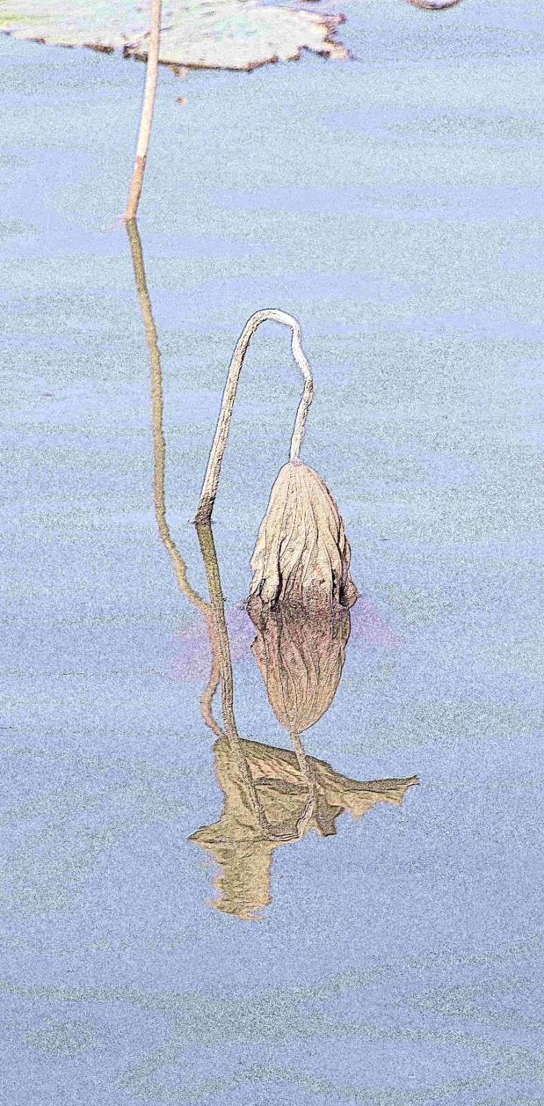 清气依旧雕铁骨 王祥领 (4)