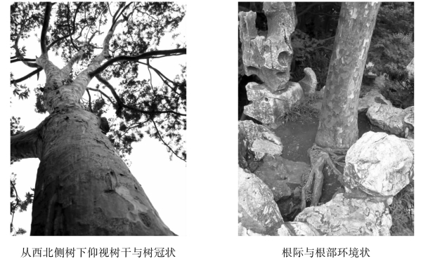 pagenumber_ebook=115,pagenumber_book=115