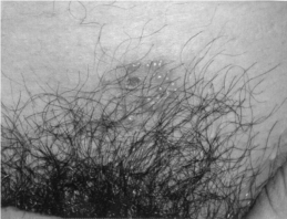 pagenumber_ebook=90,pagenumber_book=79