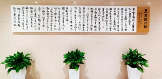 pagenumber_ebook=255,pagenumber_book=246