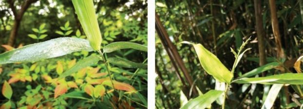 pagenumber_ebook=115,pagenumber_book=107