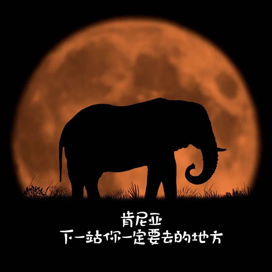 IMG_7579(20200827-104655) IMG_7579(20200827-104655).jpg?v=1764469019970