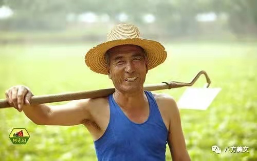 微信图片_20211130155027 微信图片_20211130155027.jpg