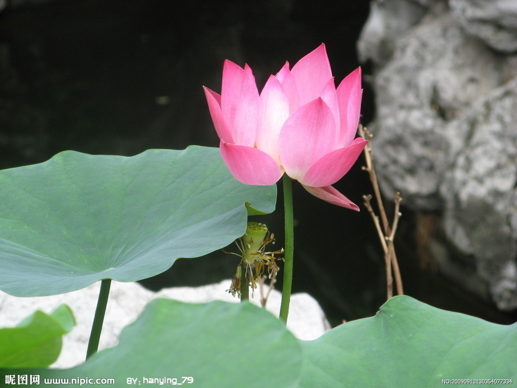 image01