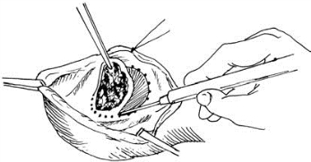 pagenumber_ebook=521,pagenumber_book=506