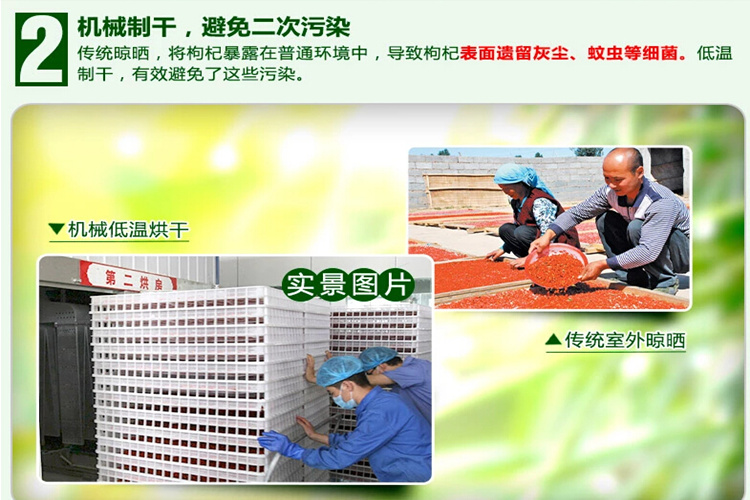 枸杞机械制干  避免二次污染