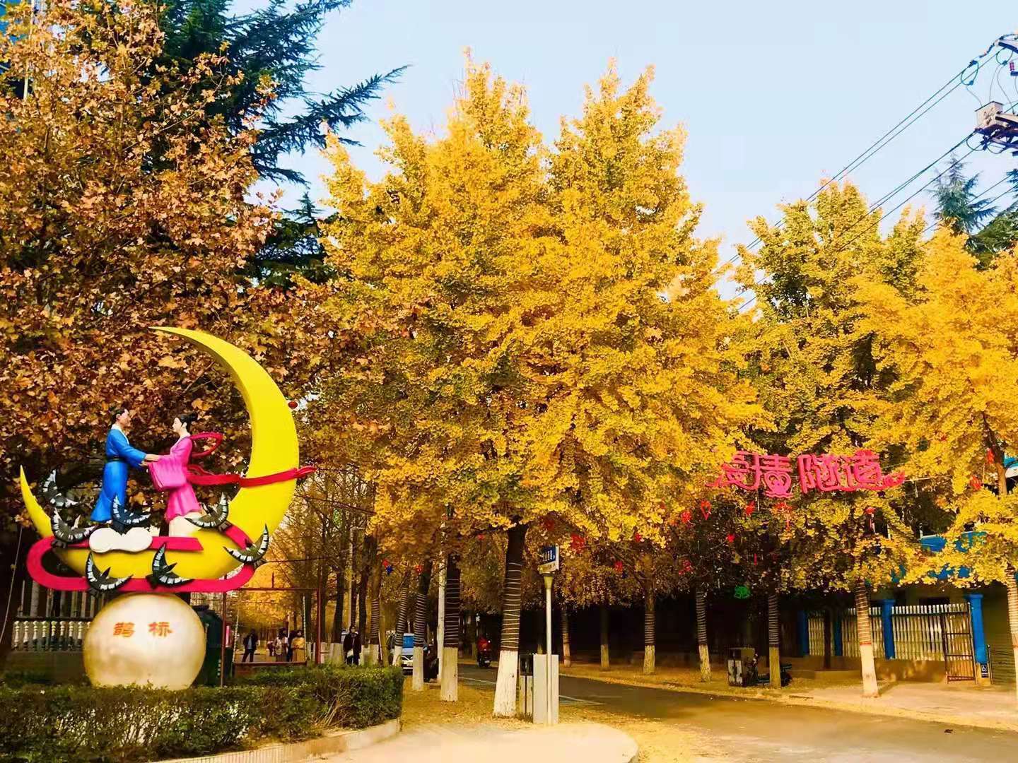 微信图片_20201214172617