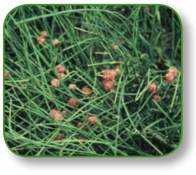 pagenumber_ebook=14,pagenumber_book=1