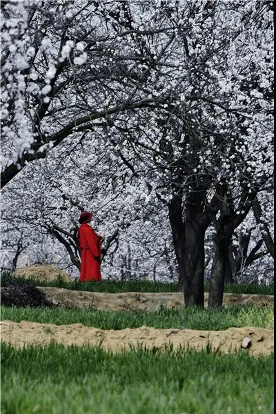 微信图片_20210318082908