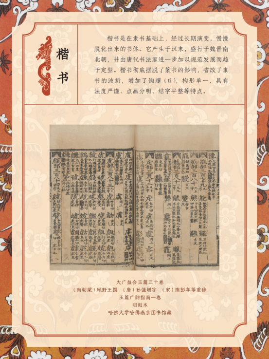 image image.png?v=1763879814567