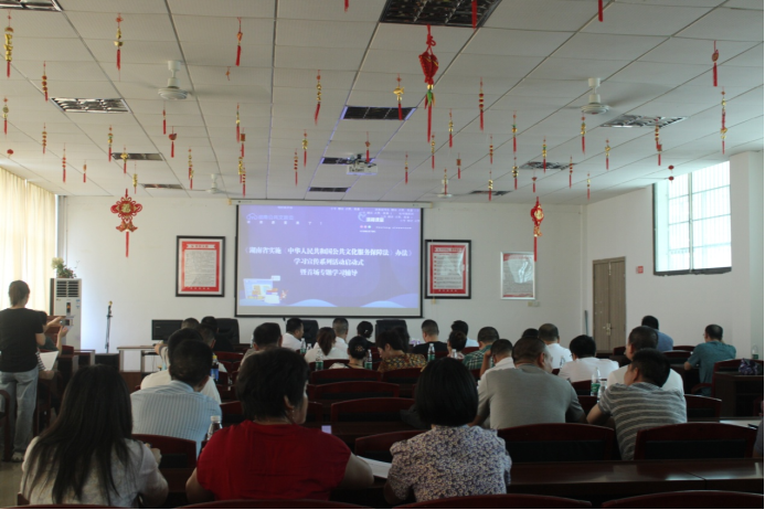 image image.png?v=1762242397819