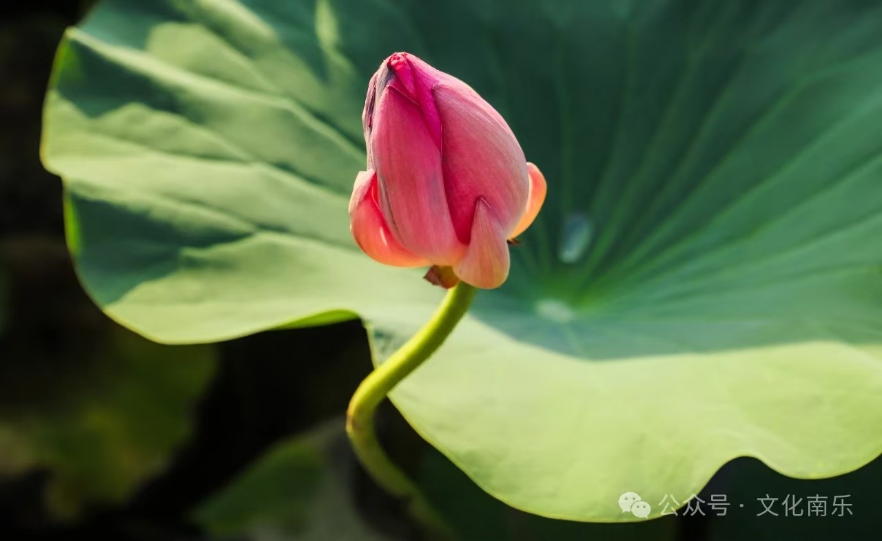 微信图片_20250206153623 微信图片_20250206153623.jpg