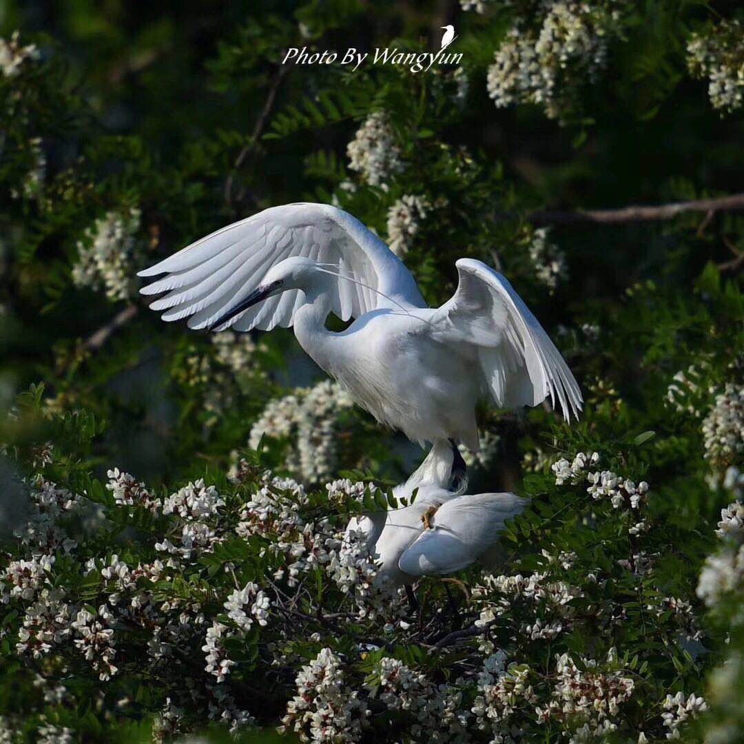 微信图片_202006051641125