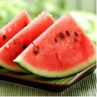 image image.png?v=1770180507670